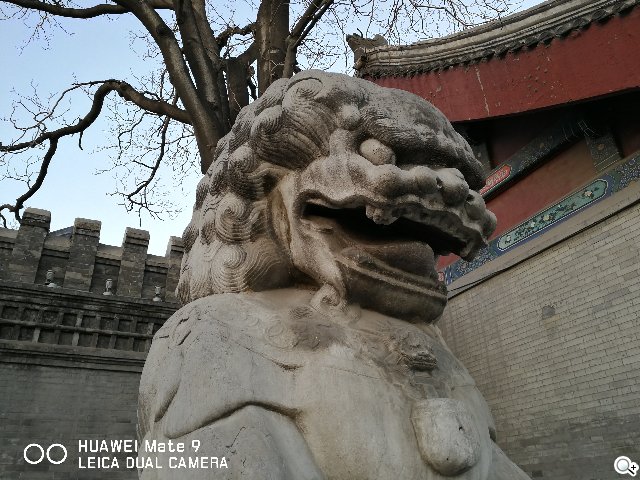 二代莱卡双镜头加持:华为Mate9系列拍照体验 二代莱卡双镜头加持:华为Mate9系列拍照体验